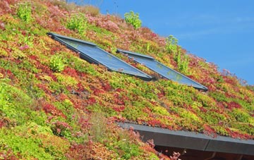 Rosemary Lane living roof systems